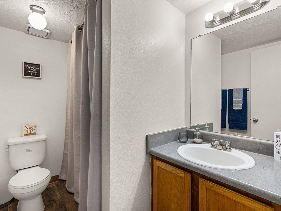a bathroom with a toilet sink and mirror